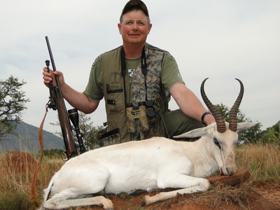 White Springbuck