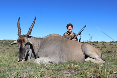 Blue Eland Bull By Mae